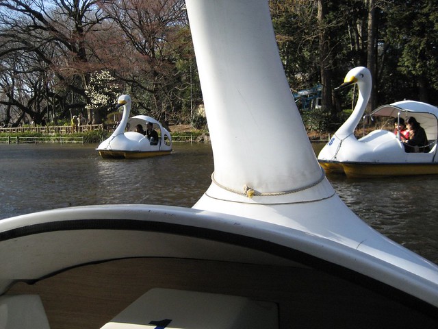 Visit ROAM THE GNOME Family Travel Directory for MORE SUPER DOOPER FUN ideas for family-friendly travel around the world. Search by City. Photo - Inokashira Park Swan boats view