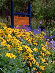 Alaska Botanical Gardens Anchorage Flowers Www Alaska Or Flickr