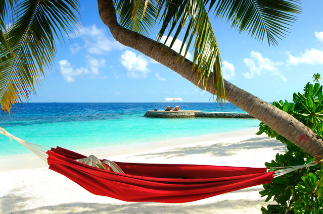 Beach-hammock