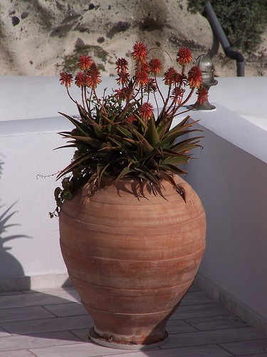 clay plant pot, Santorini