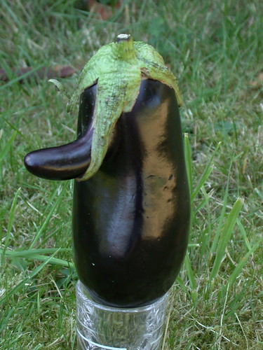 Eggplant Nixon