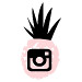 Pink-Pineapples-Instagram