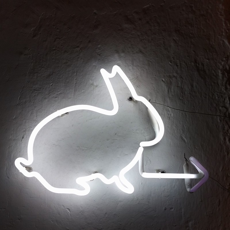 We followed the white rabbit, and it led us to a lovely tiny designer store