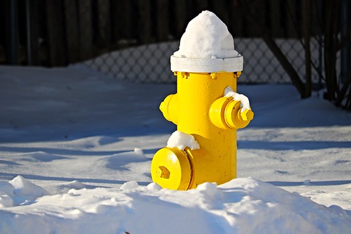 Snow capped hydrant