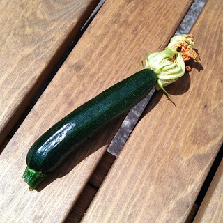 Our first itty bitty (unfertilised, I think, as there were no male flowers alongside) courgette and we ate it!