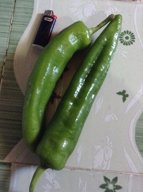 青椒10迪拉姆/公斤
