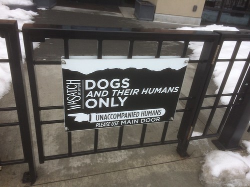 Dogs only