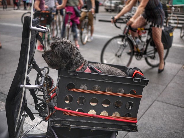 Urban Basin Bicycle Club