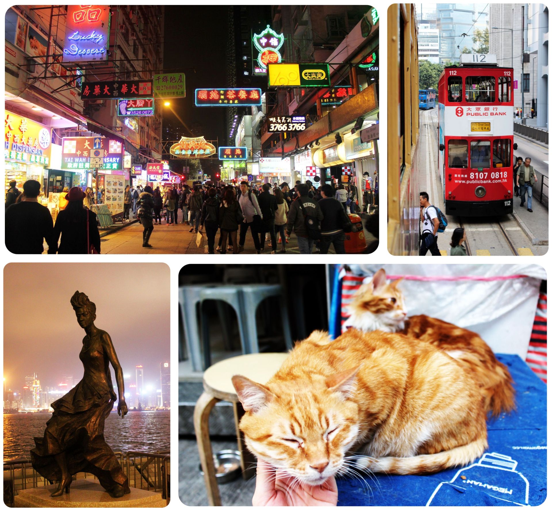 what to do in Hong Kong