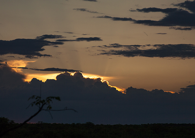 NAMIBIA & KRUGER por libre: 21 días Very WILD - Blogs de Africa Sur - Parque Nacional ETOSHA (45)