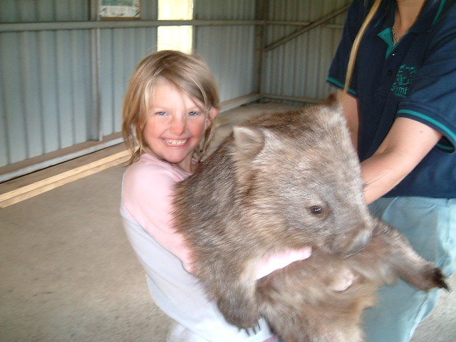 Hug The Wombat | Maya makes a new friend. | Alan | Flickr