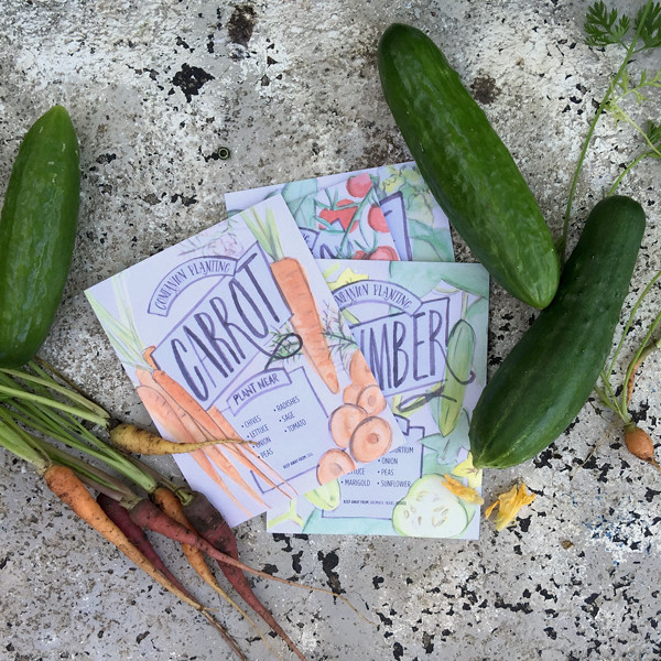 vegetable planting guide cards