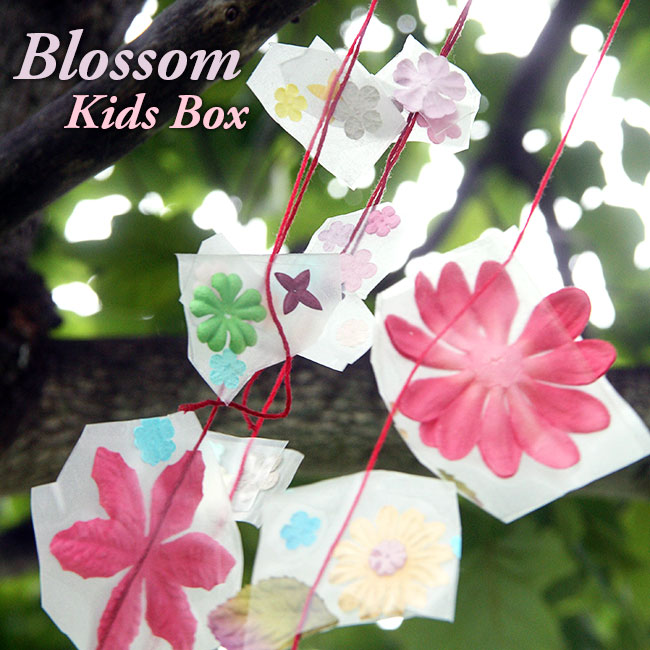 Blossom-Box_650
