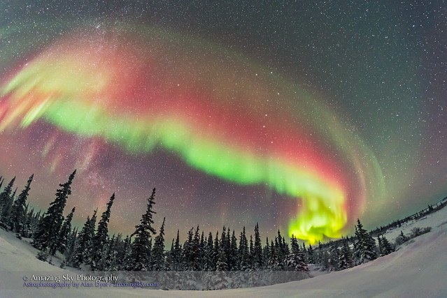 Colourful Auroral Arc over Boreal Forest