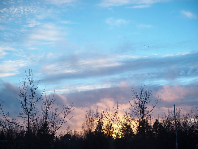PC159417SUnsetBlueAndPink.jpg, blue sky, sininen taivas, maisema, view, landscape, finland, suomi, helsinki, pink sunset, vaaleanpunainen auringonlasku, 