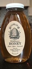 Sallay honey jars