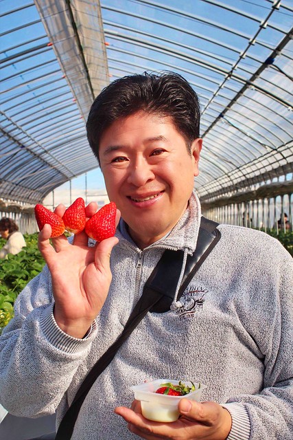 こぶちゃんphoto polepole farm strawberry picking 26