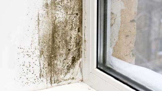Chống ẩm cho tường nhà vào mùa mưa