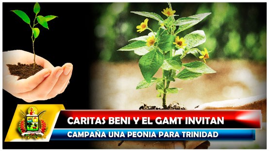 Caritas Beni y el GAMT invitan campaña una peonia para Trinidad