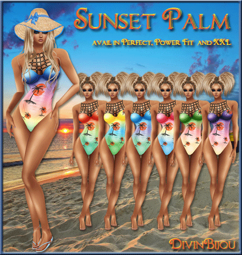 Sunset Palm Banner