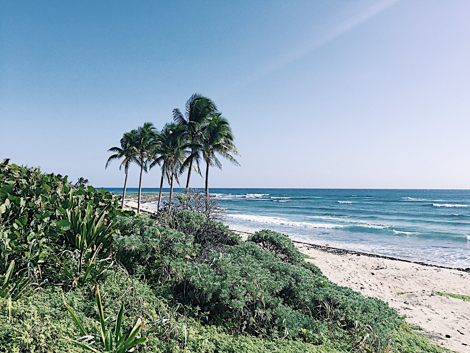 cancun-xelha-mexico-nature-beach-travel-traveldiary-clothestoyouuu-elizabeeetht