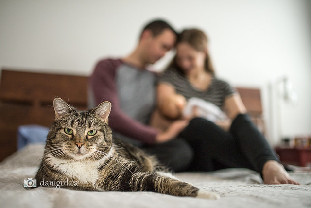 Family portrait with pet cat by Ottawa photographer Danielle Donders