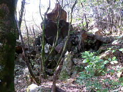 La carrière de pierres dans le sous-bois final en arrivant vers Poghju di u Pinu (Parc Aventure)