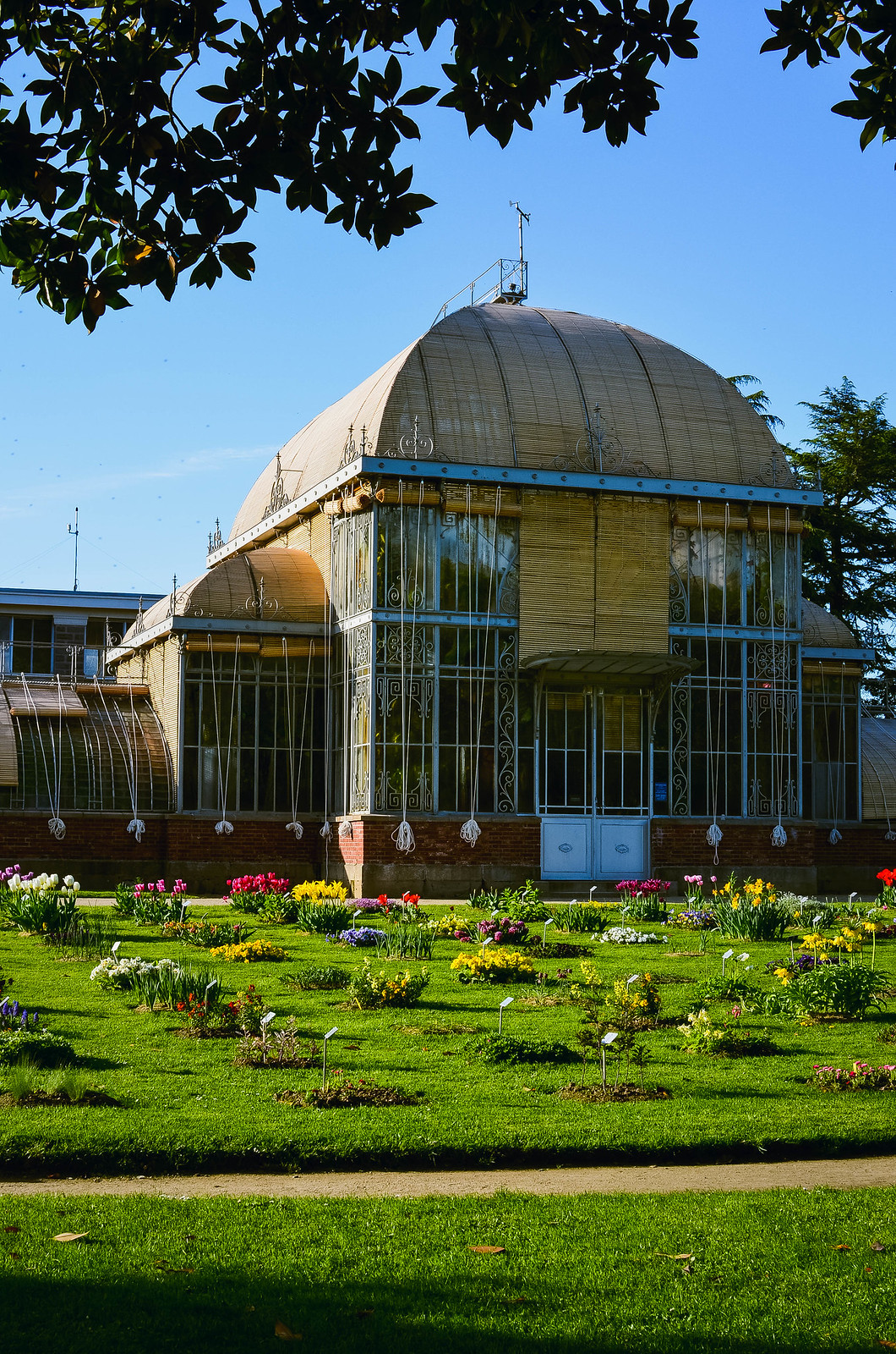 Palmarium Jardin des plantes Nantes