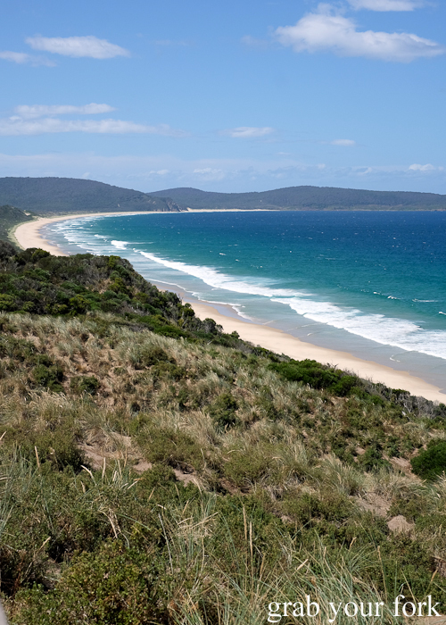 The Neck Beach on Bruny Island in Tasmania