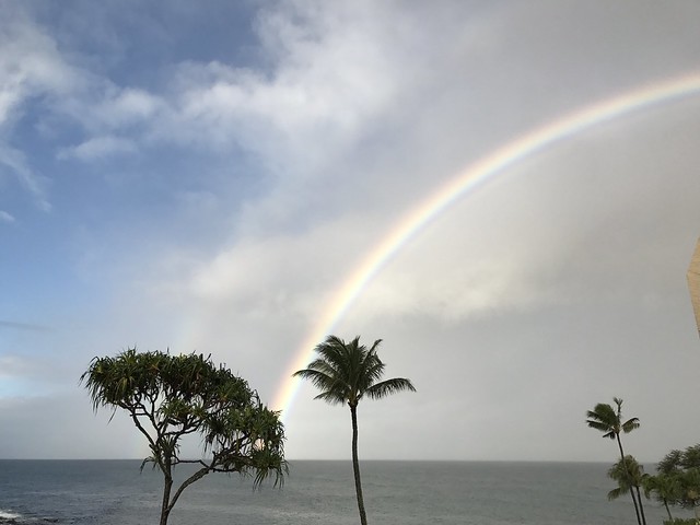 New year's rainbow in Maui