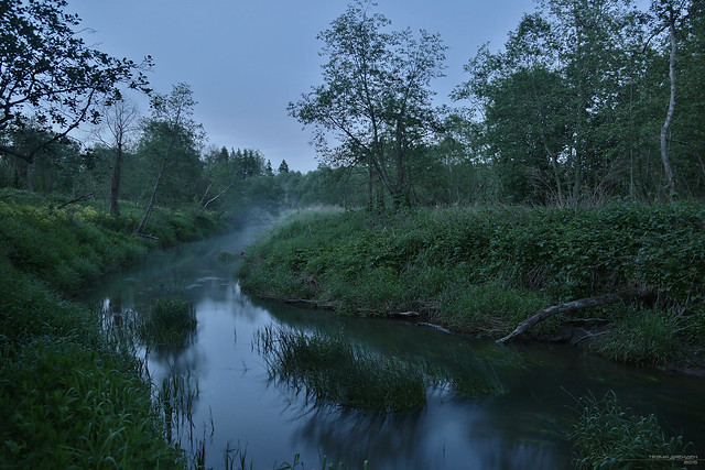River in the Evening