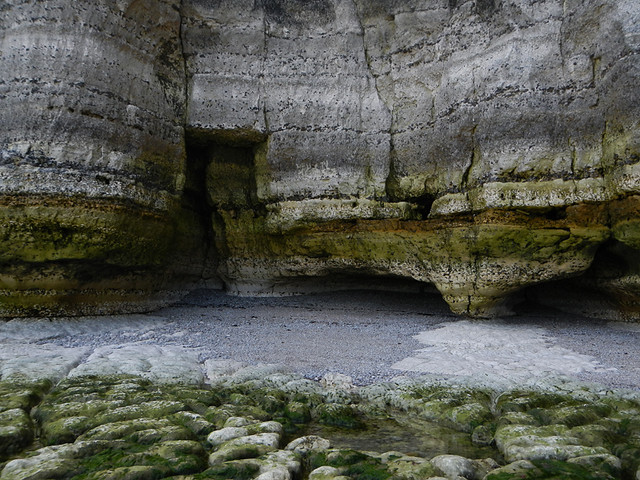 white rock formations stained green in Etretat