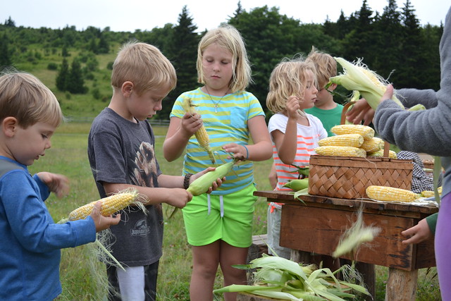 Get the kids involved and then watch them eat their veggies! Virginia State Parks