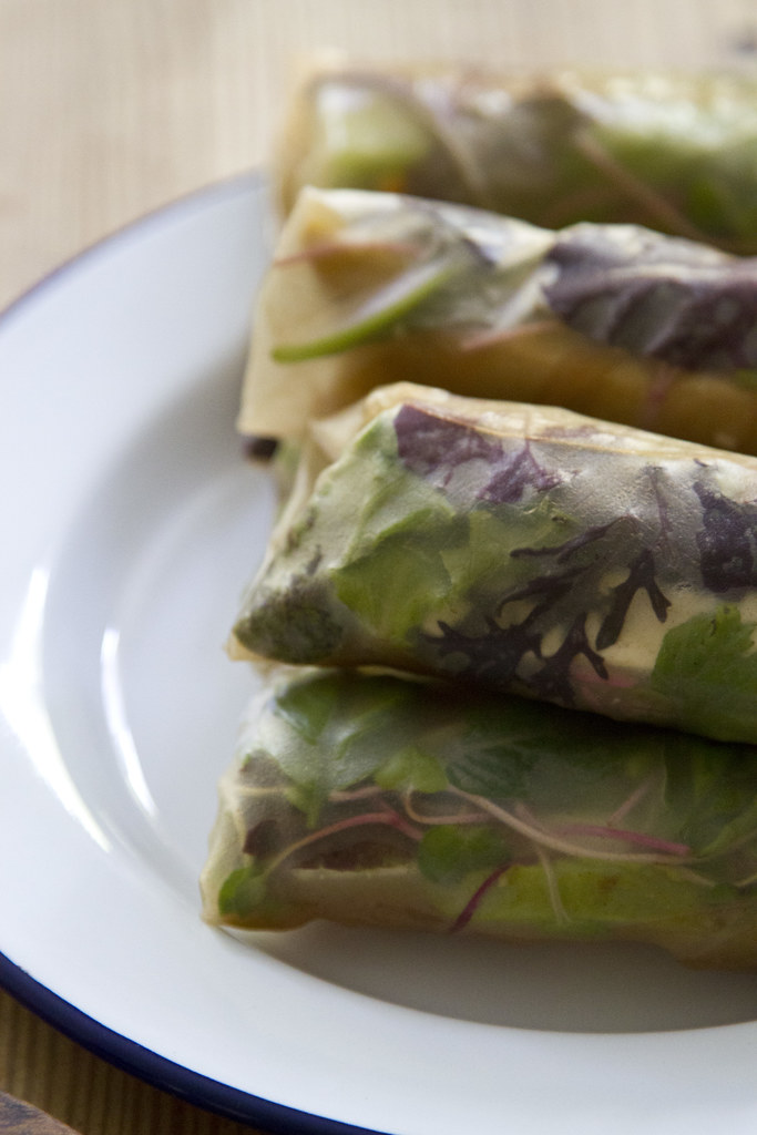 pack a picnic: summer rolls | reading my tea leaves
