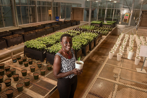 Picture of Esther Ngumbi in a green house.