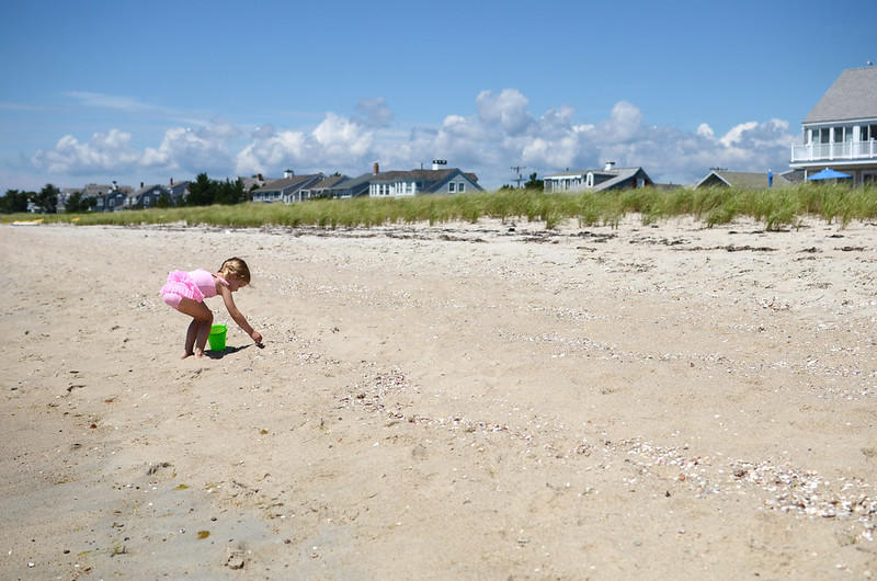 5 Reasons To Visit Cape Cod This Summer