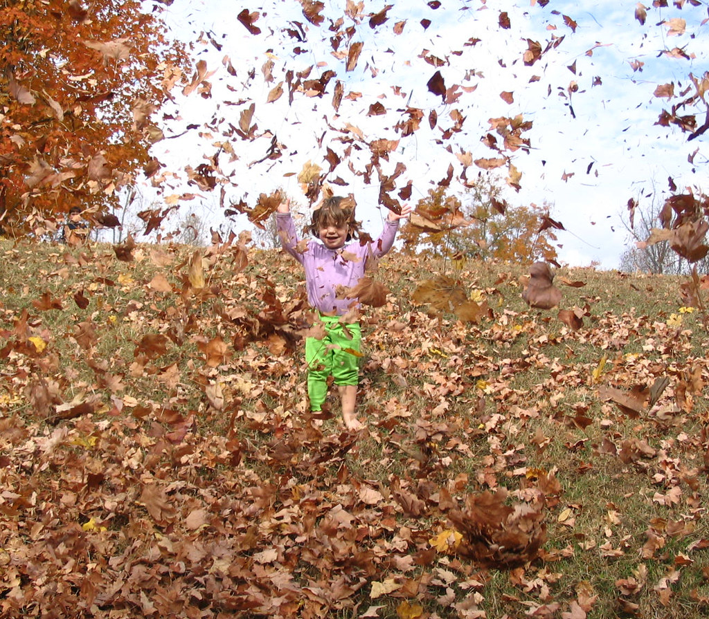 Ветер уносит листья. Ветер срывает листья с деревьев. Сильный ветер осень. Осенняя листва с людьми. Много листьев.