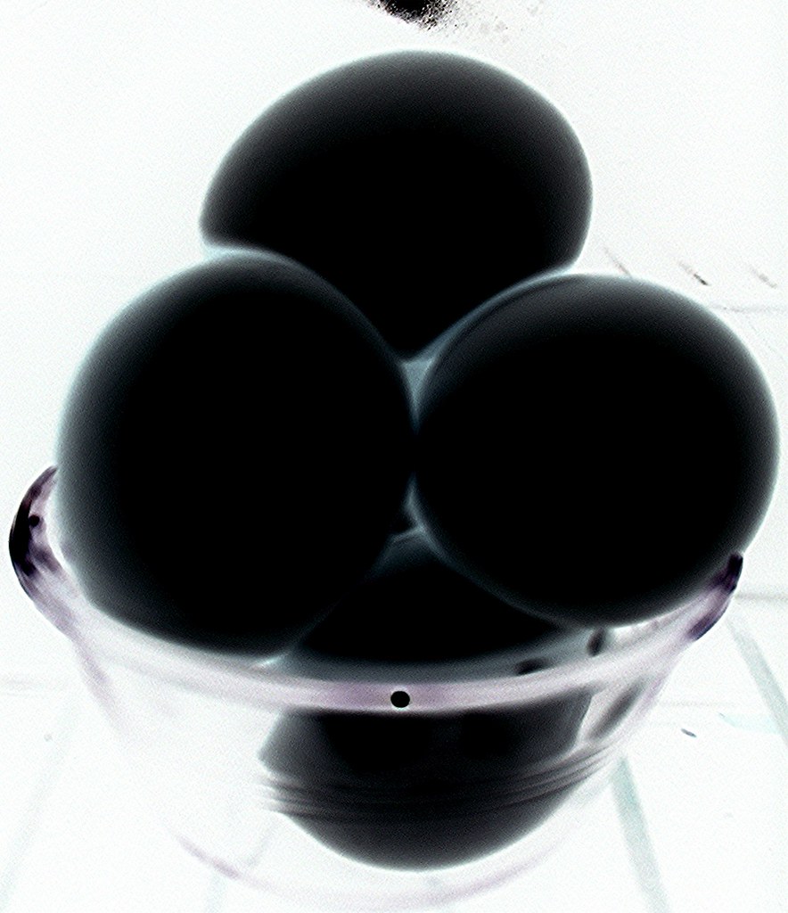 Black Eggs | Probably-Possibly a black hen lays black eggs. | Mark