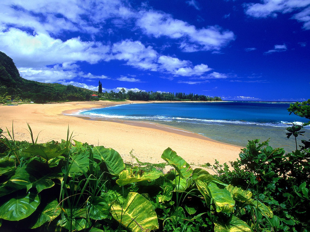 Tier Point Run to Hawaii in Feb 2015