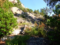 Le socle du 1er piton rocheux sur le sentier de descente de Costa di Barola