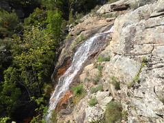 La cascade de Piscia Cava