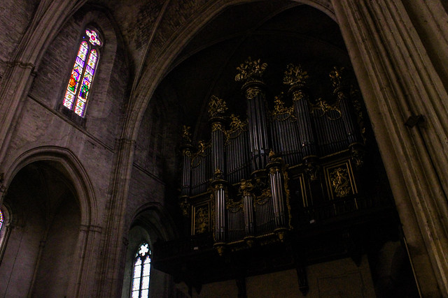 Órgano de la catedral.