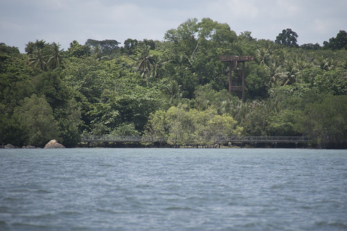 Chek Jawa mangroves and boardwalk