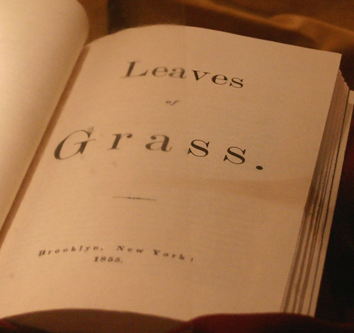 An analysis of walt whitmans leaves of grass