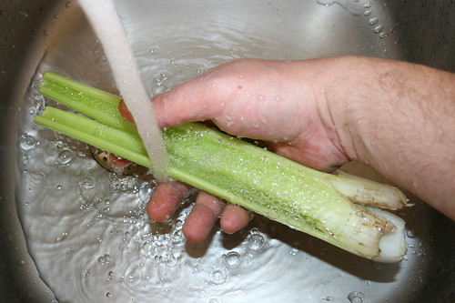 26 - Staudensellerie waschen / Wash celery