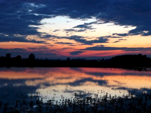 Flooded field in twilight