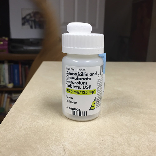 amoxicillin tablets 875mg