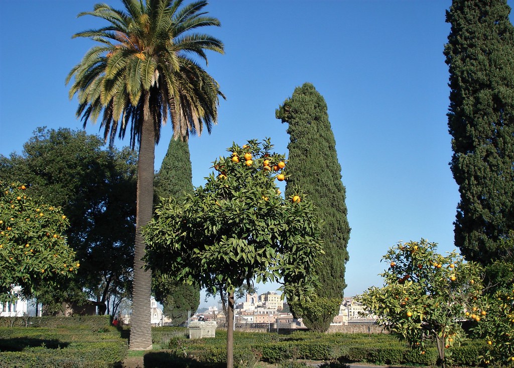 Апельсиновый сад в риме фото