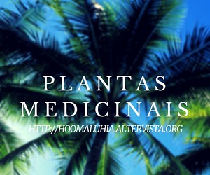 plantas medicinais hoomaluhia