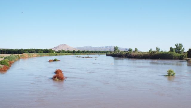 Rio Grande in June, north of Mesilla Valley Bosque